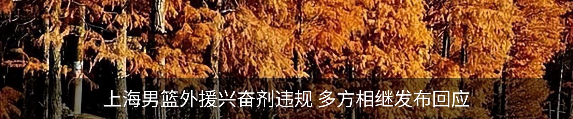 内页banner