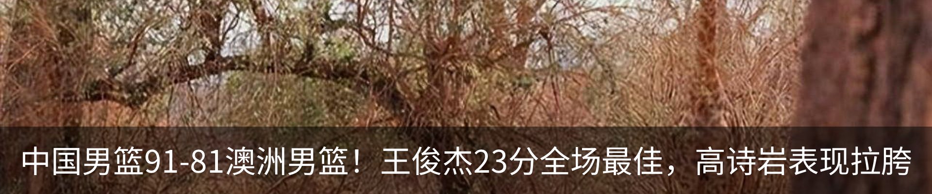 内页banner