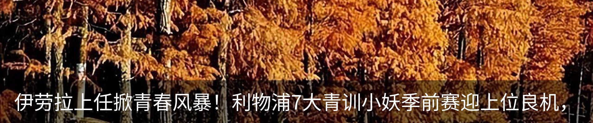 内页banner