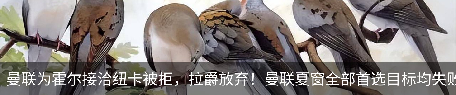 内页banner